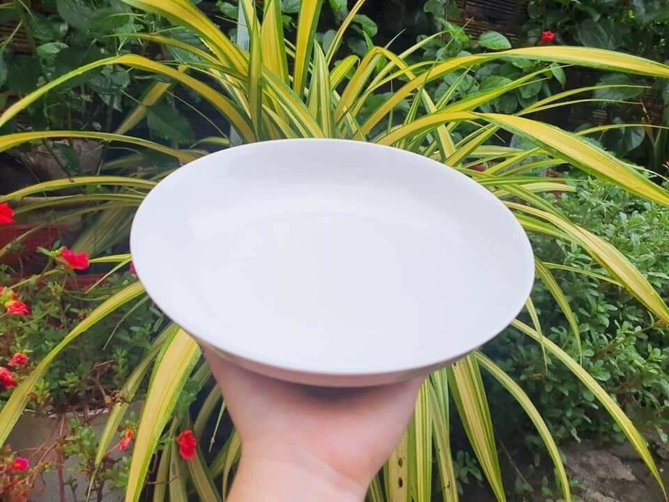 Combo 10 dĩa sứ trắng dày đẹp