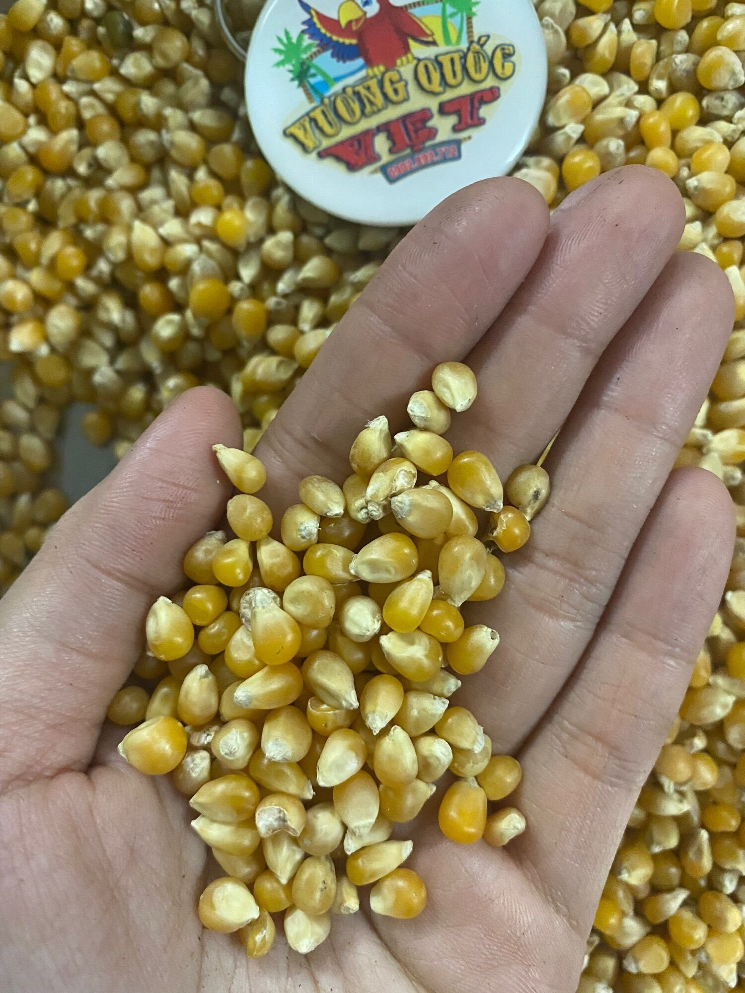 Hạt bắp nổ gói 1kg