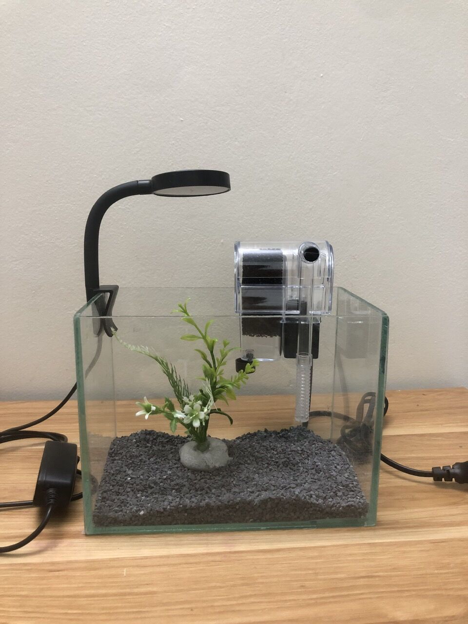 Bể cá thủy tinh mini để bàn kt 20x12x15cm.thả cá betta và các loại cá cảnh nhỏ