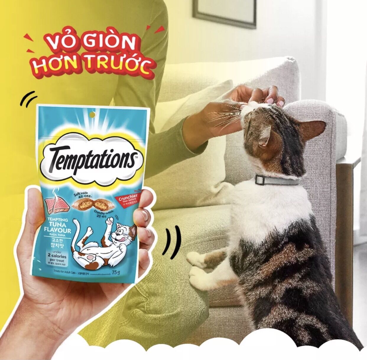Bánh thưởng cho mèo Temptations 75g