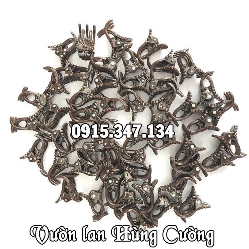 Kẹp bướm cố định lan 100g