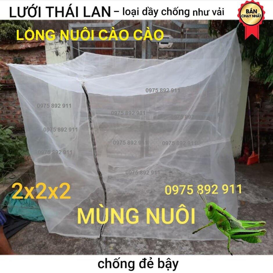 Lồng lưới nuôi cào cào , châu chấu 2x2x2