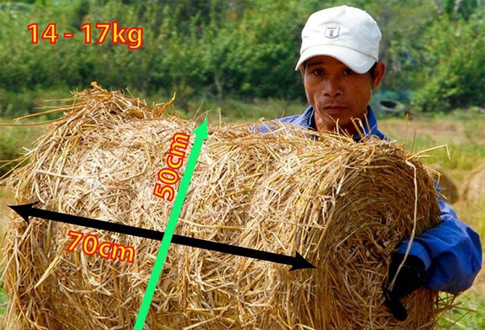 1 cuộn rơm khô Củ Chi 14-17kg dùng để trồng nấm trang trí