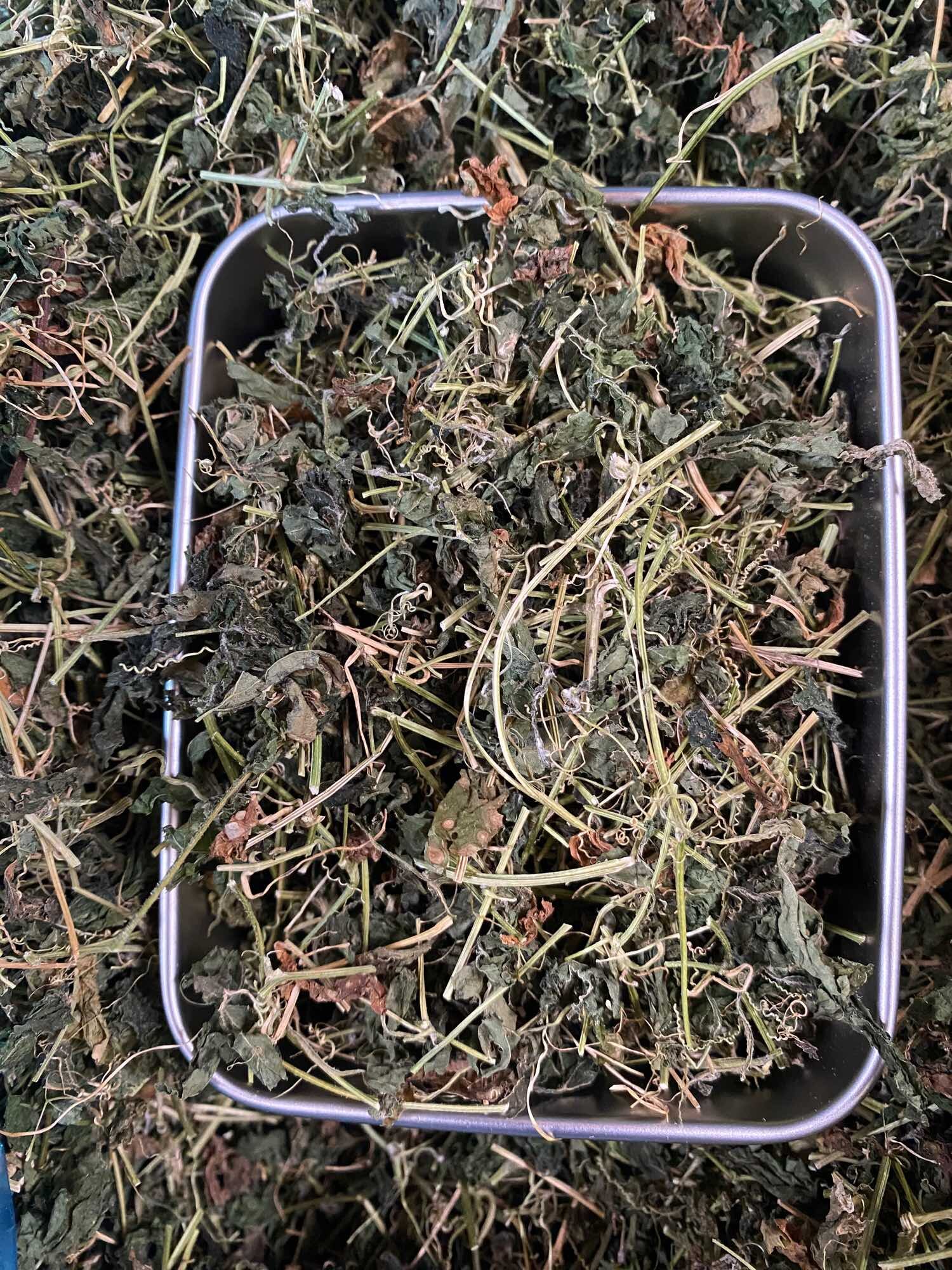 500g Trà Thảo Mộc Khổ Qua Rừng