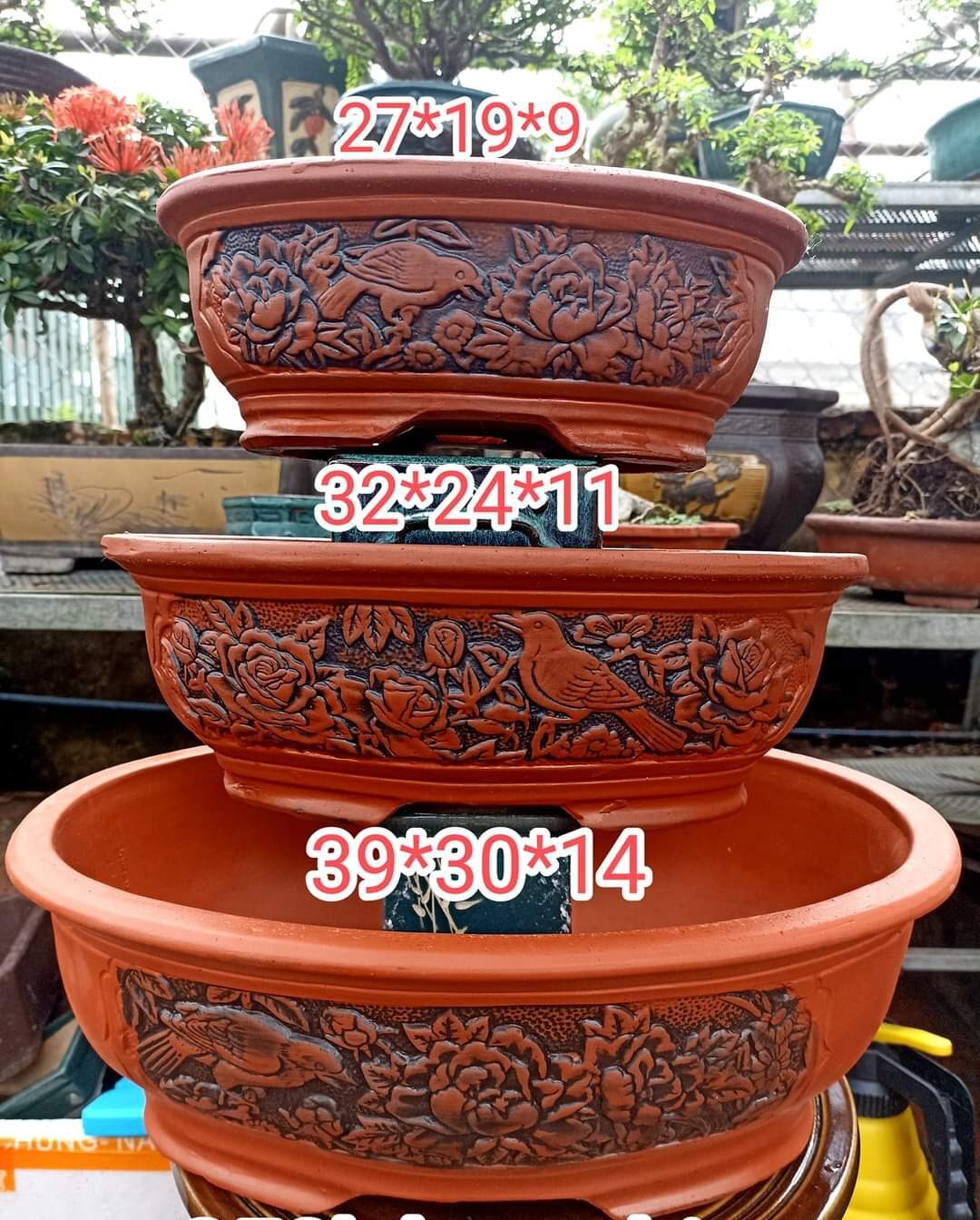 bộ 3 chậu ovan chim hoa phú quý