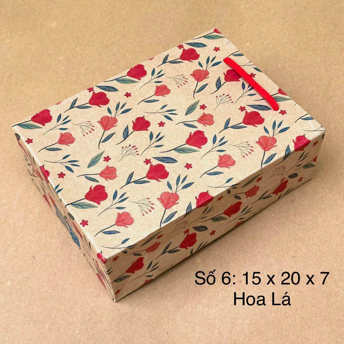 Combo 100c túi quà tặng số 6 túi giấy đựng quà [ Freeship ]