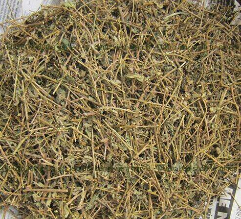 1kg cây cà gai leo khô