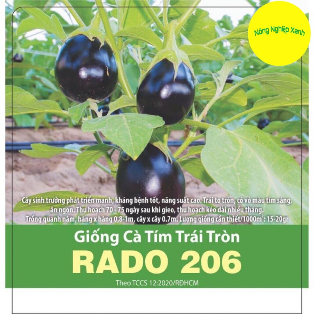Hạt giống cà tím trái tròn rado 206 sai trái