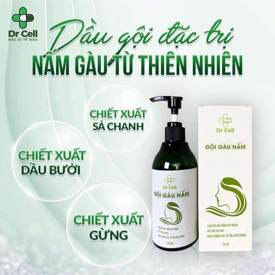 Gội Gàu Nấm DR CELL 250ml