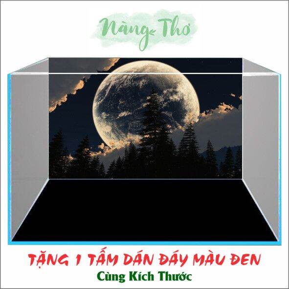 Tranh Hồ Cá 3D_NT_ SIÊU ĐẸP_ GIÁ RẺ