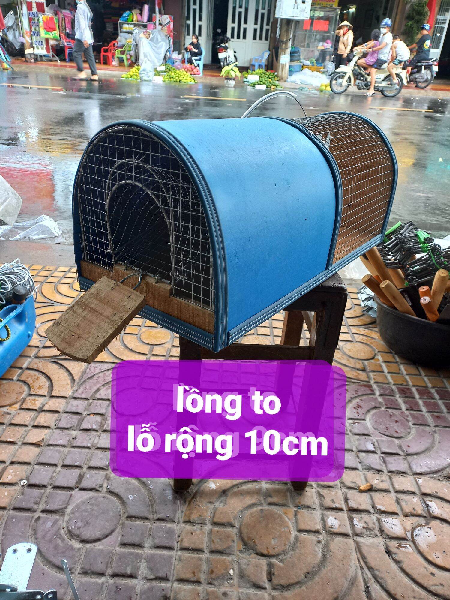 bẫy bắt chuột thông minh