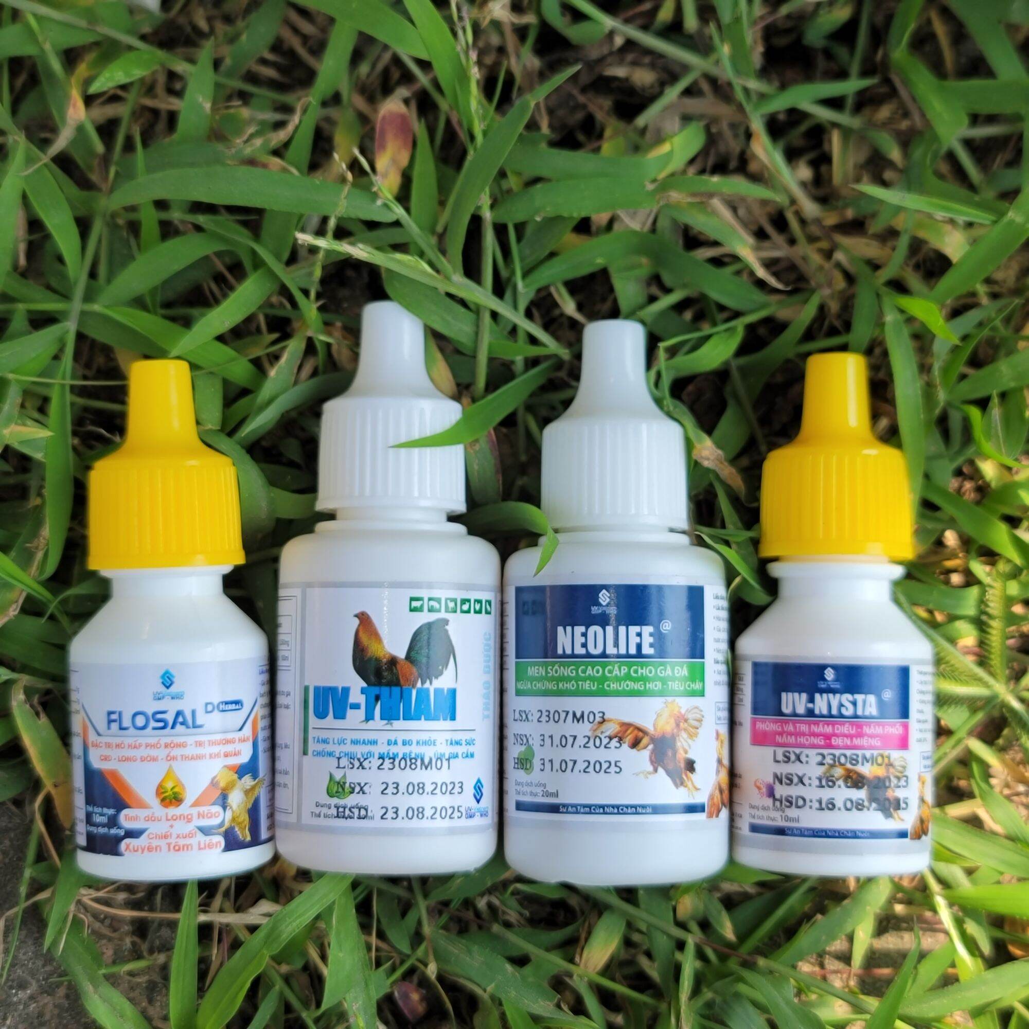 Lọ uv nysta 10ml chuyên nấm diều, nấm phổi, nấm họng, đẹn miệng ở gà đá