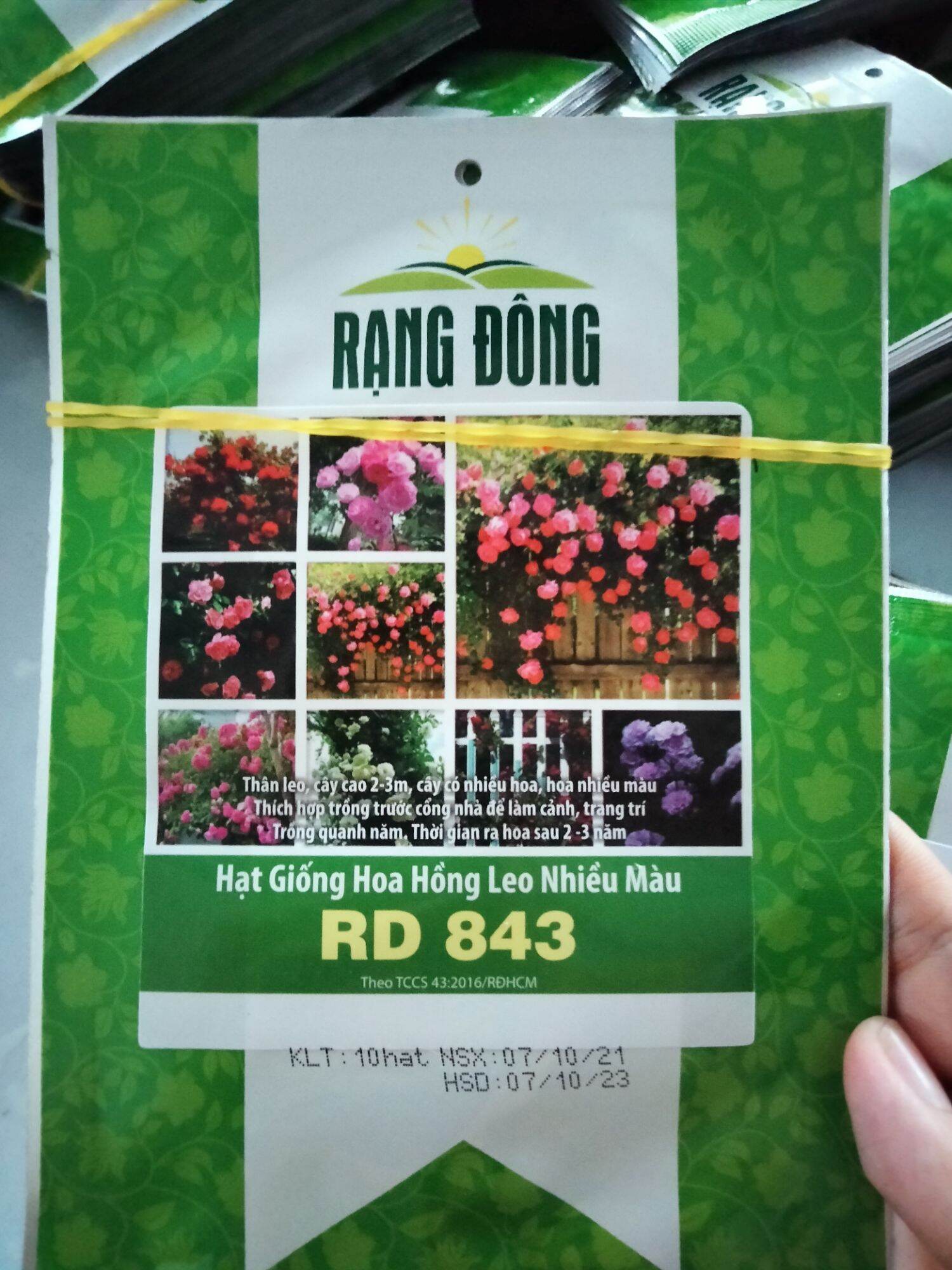Hạt giống hoa hồng leo