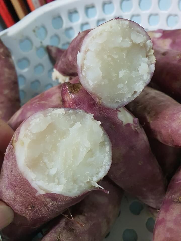 Combo 3kg Khoai Lang Campuchia (Khoai lang hồng đào)