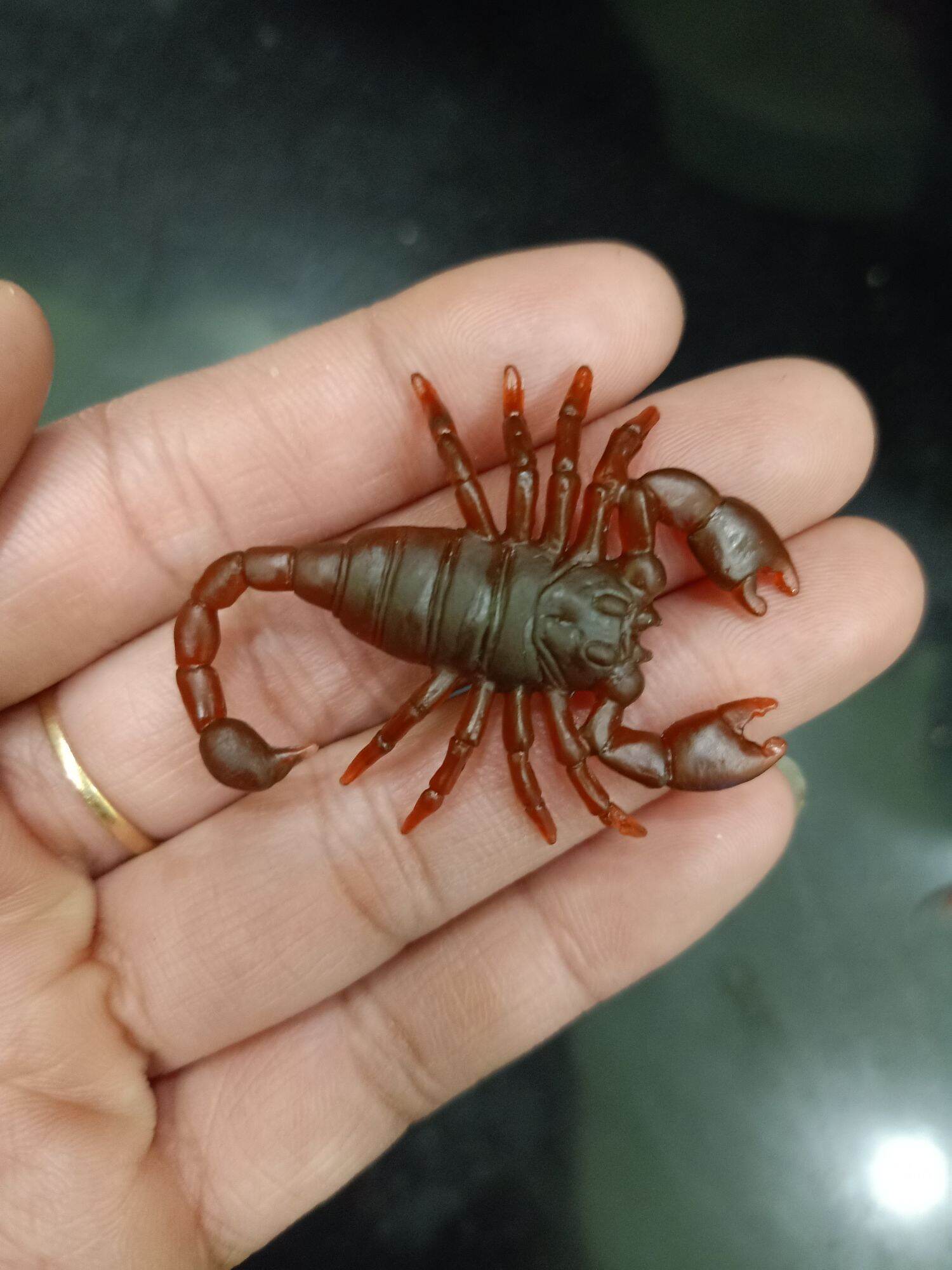 sét 3 con côn trùng giả (gián, rết, bò cạp)