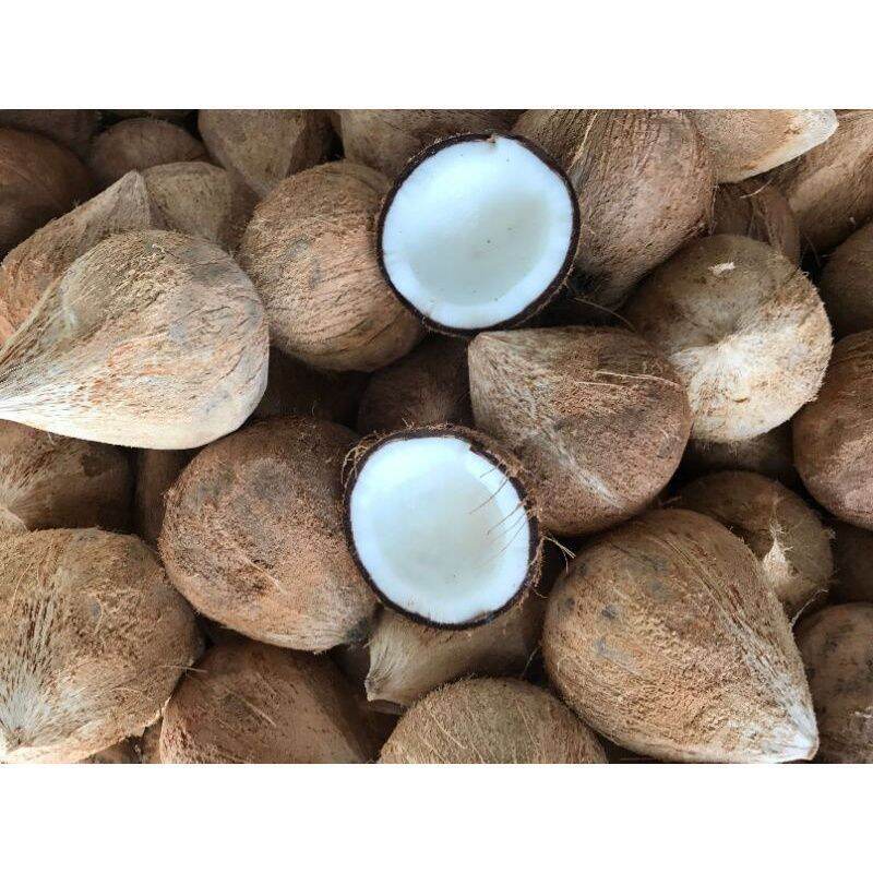 Dừa khô trái dưới 1kg