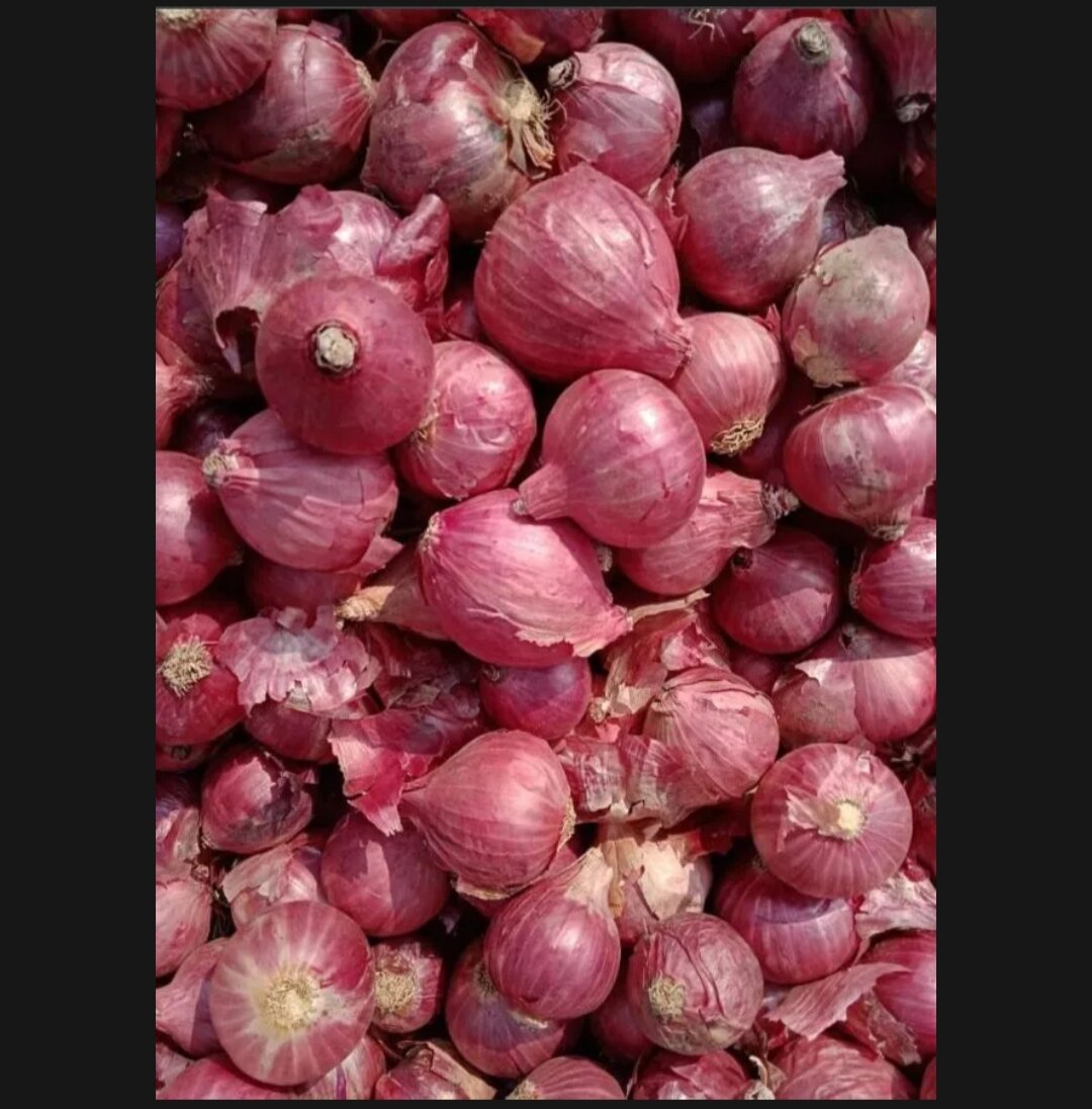 Hành tím củ to thơm ngon 500g