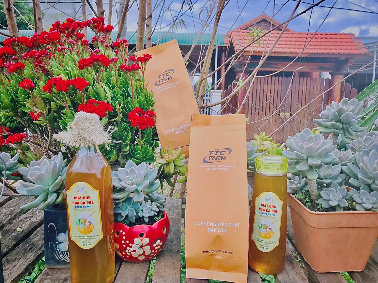Combo 500ml mật ong + 500gr cà phê