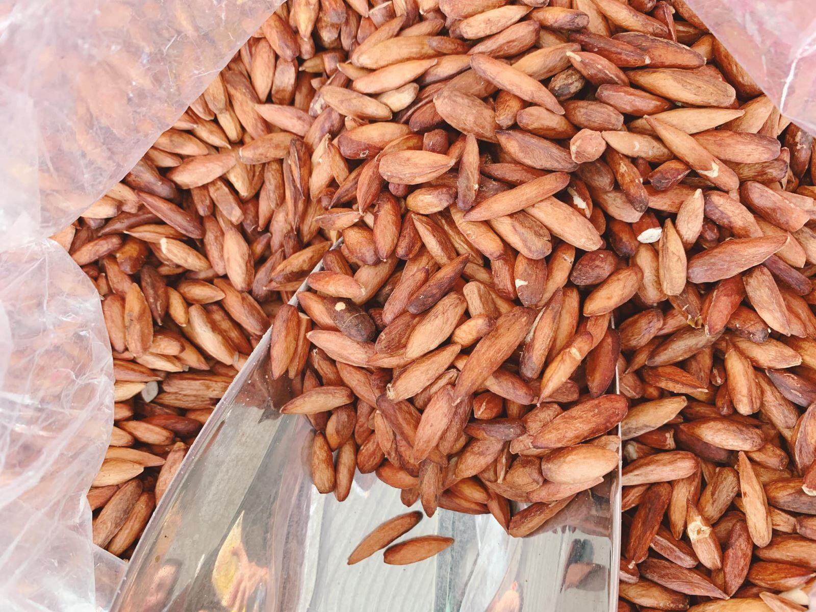 Hạt bàng côn đảo các loại gói 100g