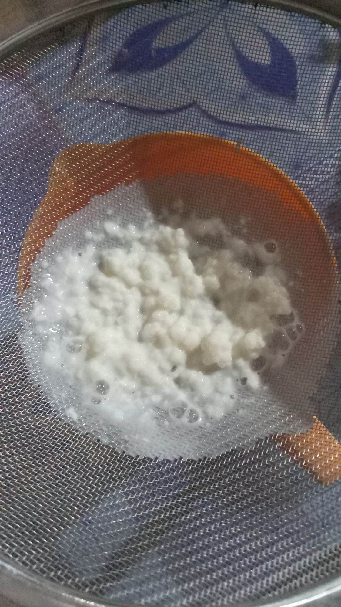 Con nấm sữa chua 30k