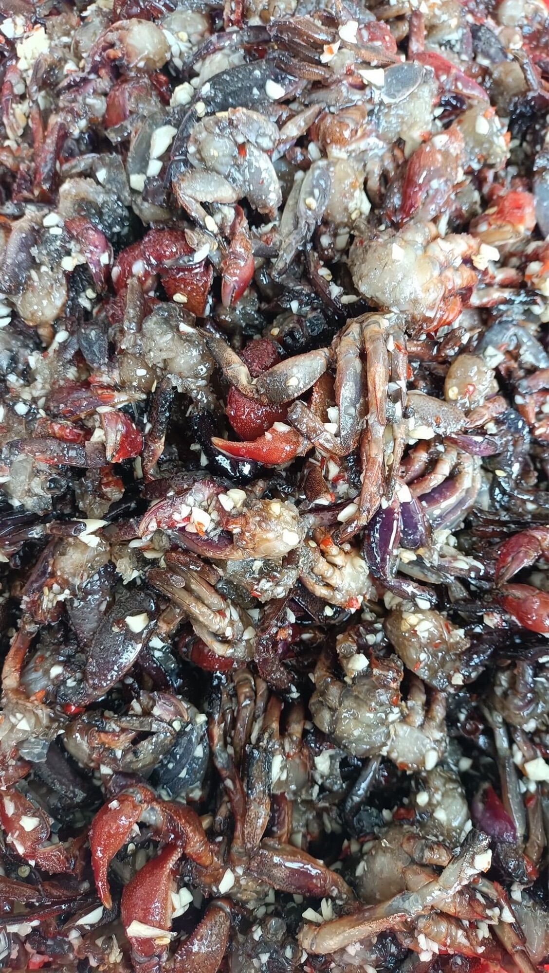 Ba khía sữa trộn sẵn