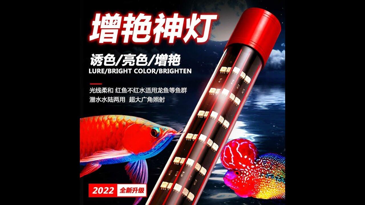 đèn kaokui no1 5 dãy bóng dài 115cm màu hồng cho huyết long
