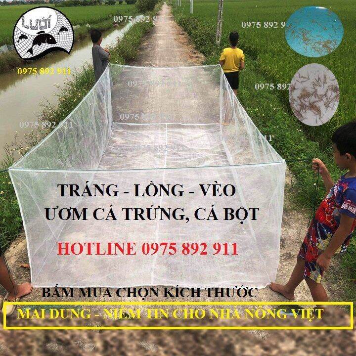 Tráng lồng vèo ươm cá bột , tôm trứng 8x4x1