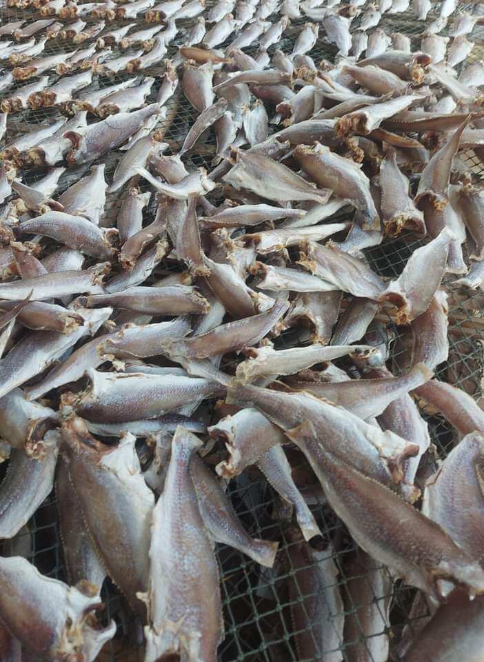 1kg cá đù khô nhạt, ngon đặc biệt