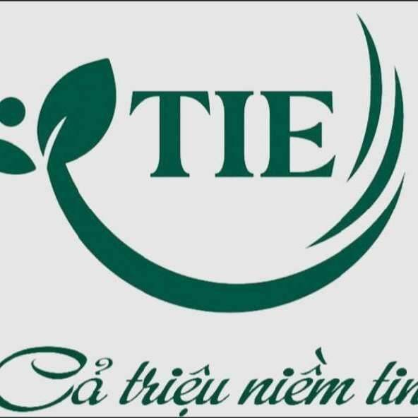 Giấy Tiến Hiếu -Triệu niềm tin