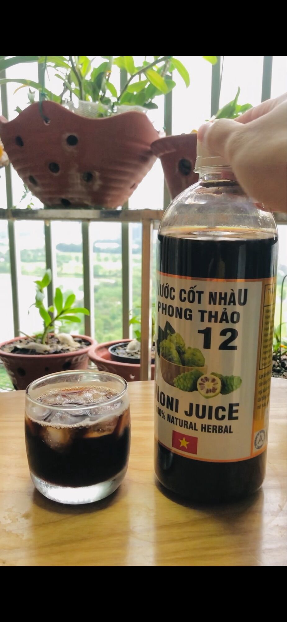 Nước ép trái nhàu - Noni juice
