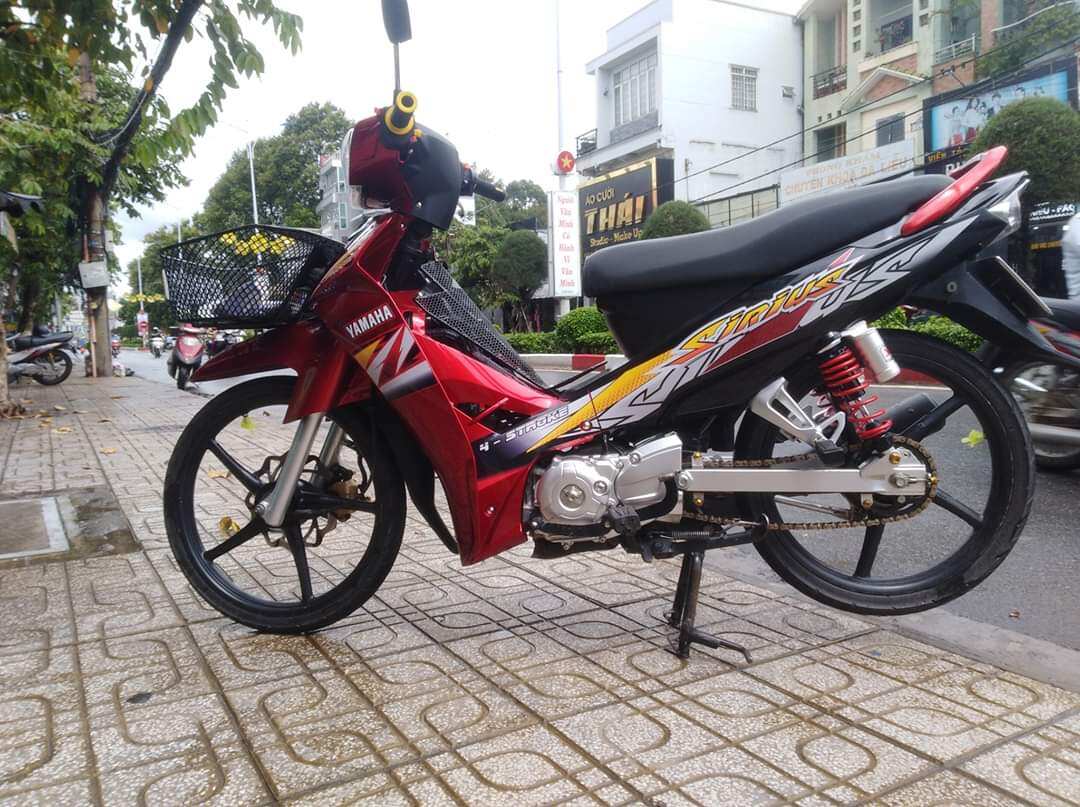 Tem sirius đỏ đen
