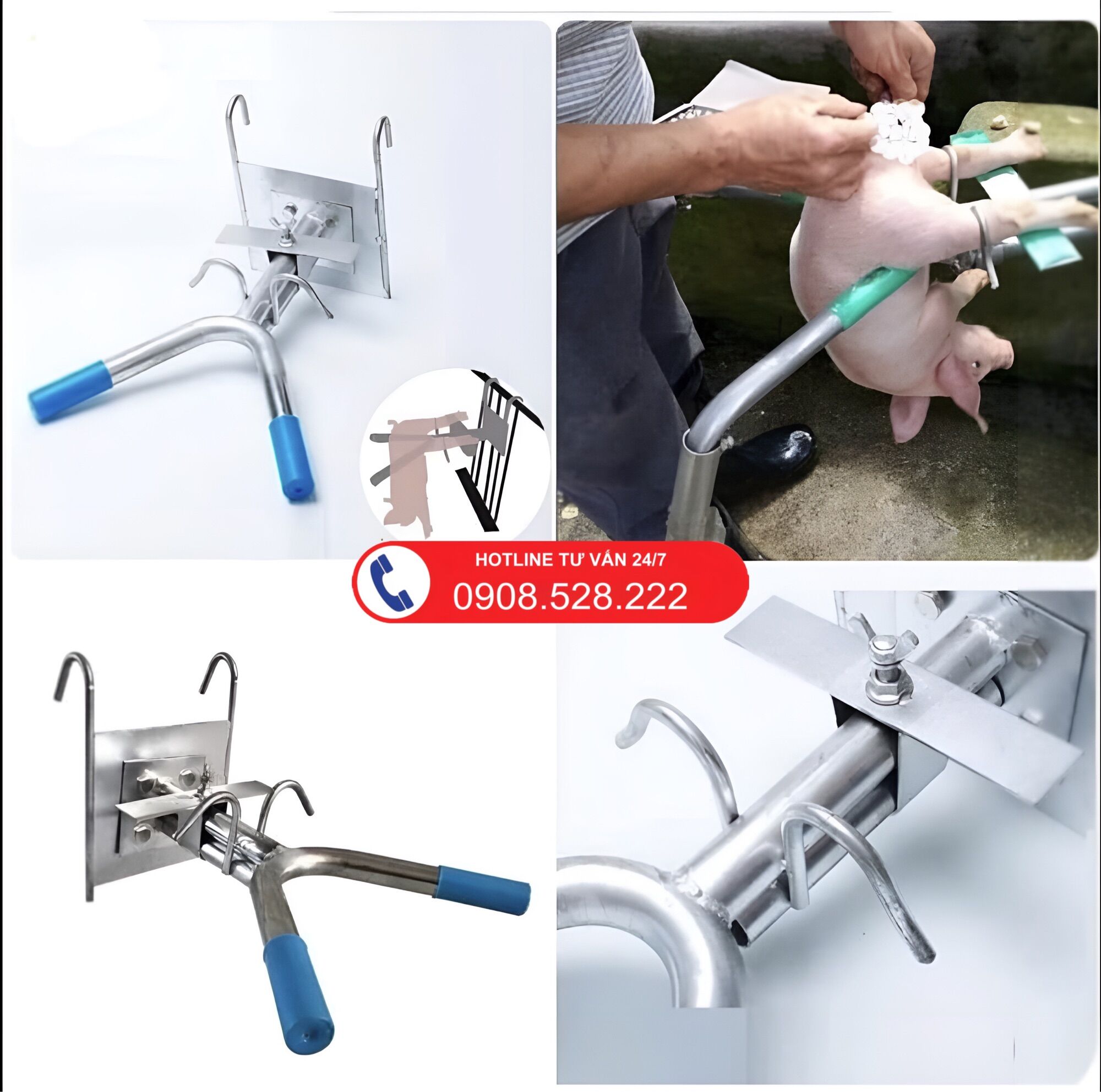 Giá thiến heo con, đỡ lợn con bằng inox 304