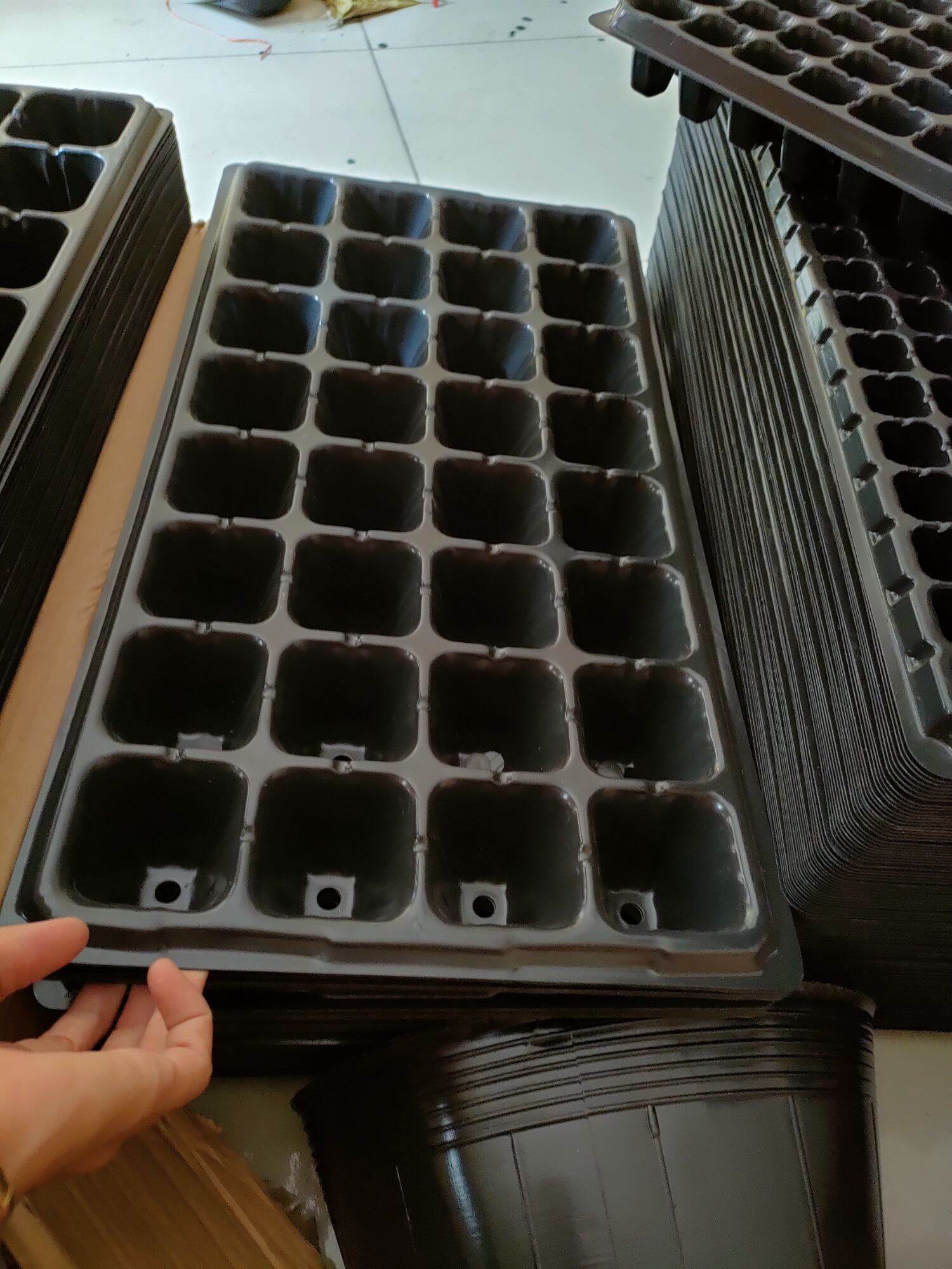 Khay ươm hạt 10 cái 32 lỗ