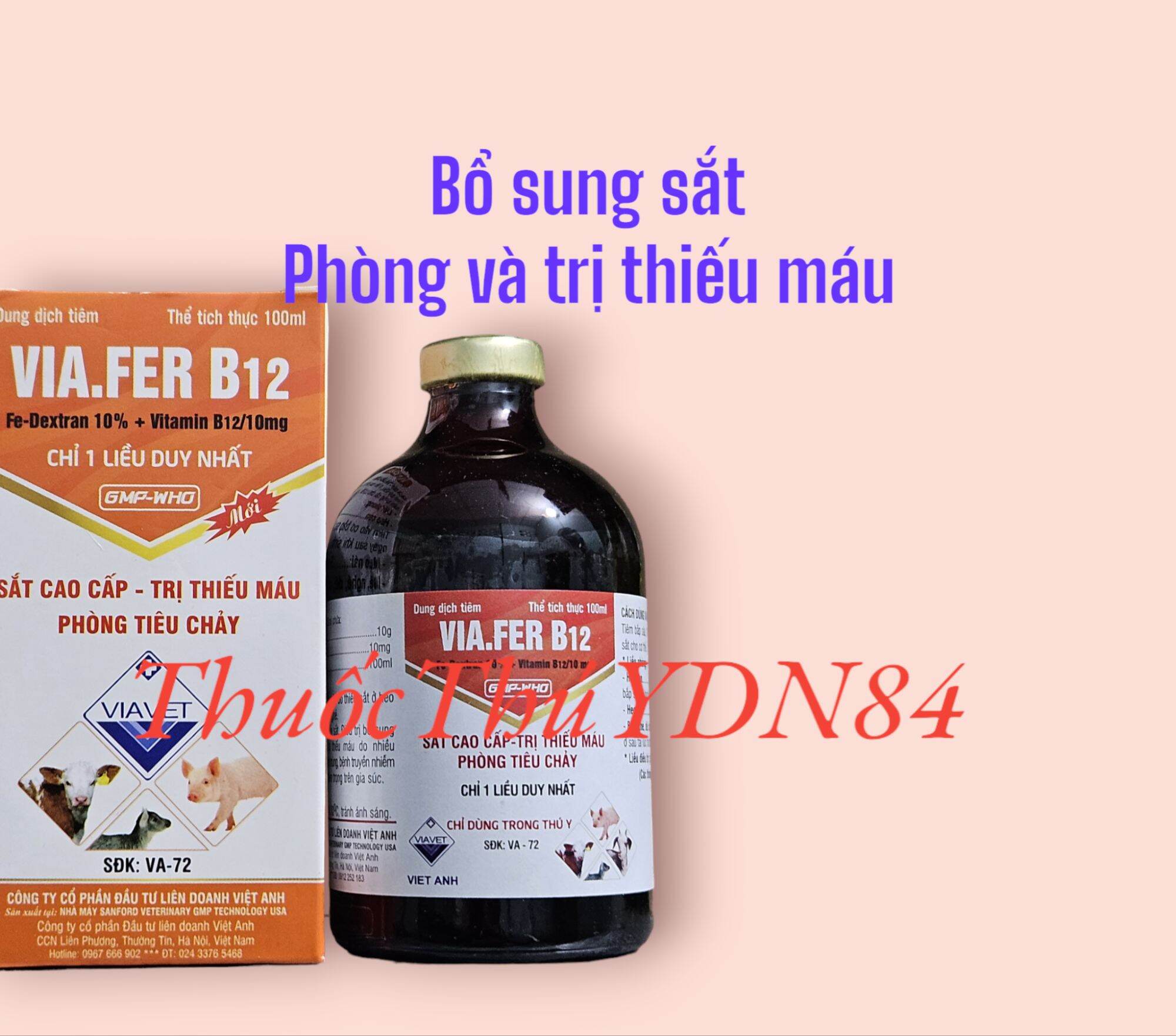 Via ferdextran b12 100ml bổ sung sắt cho heo, bò, dê