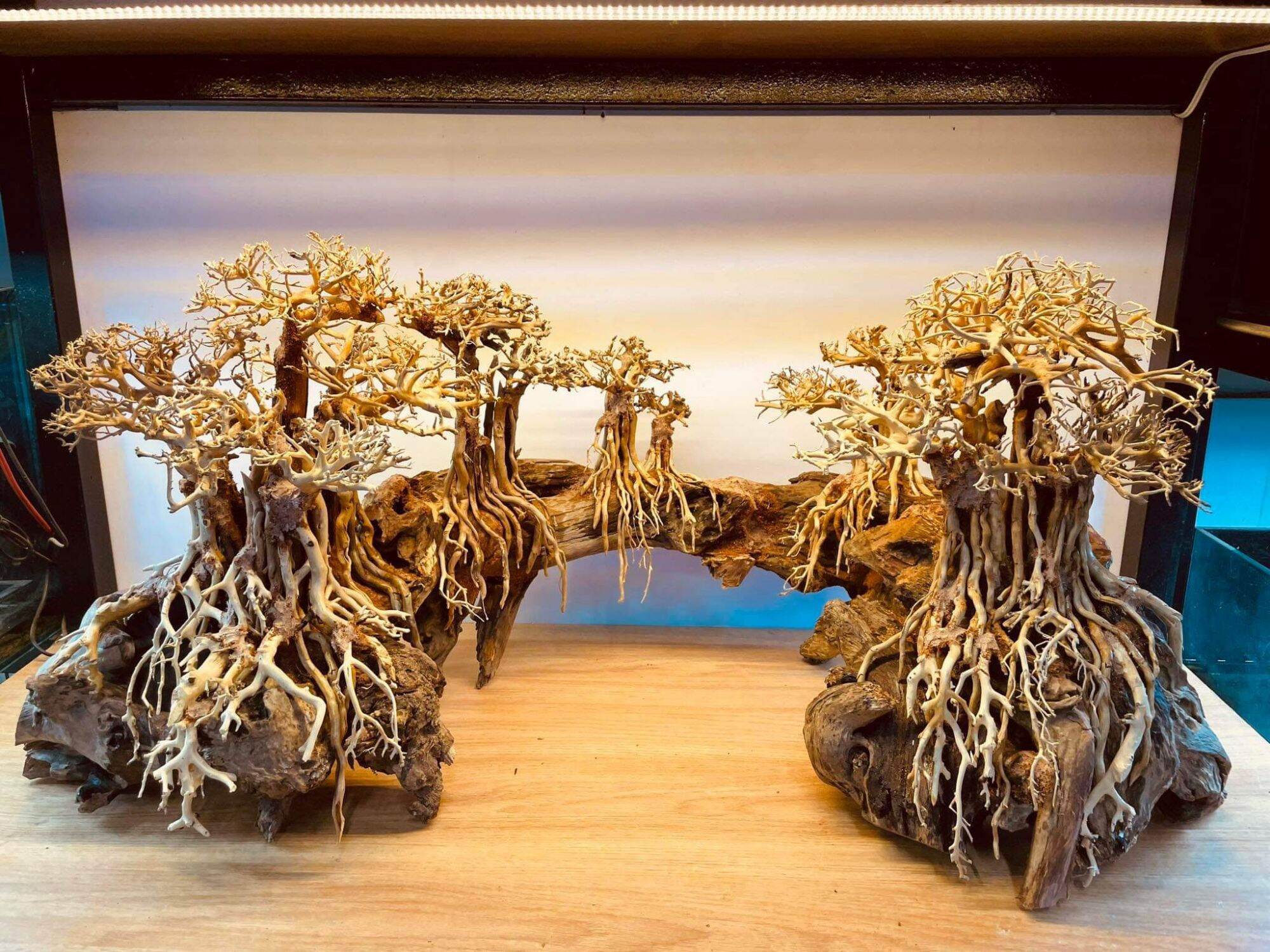 Bộ lũa bonsai cho hồ cá, hồ thủy sinh