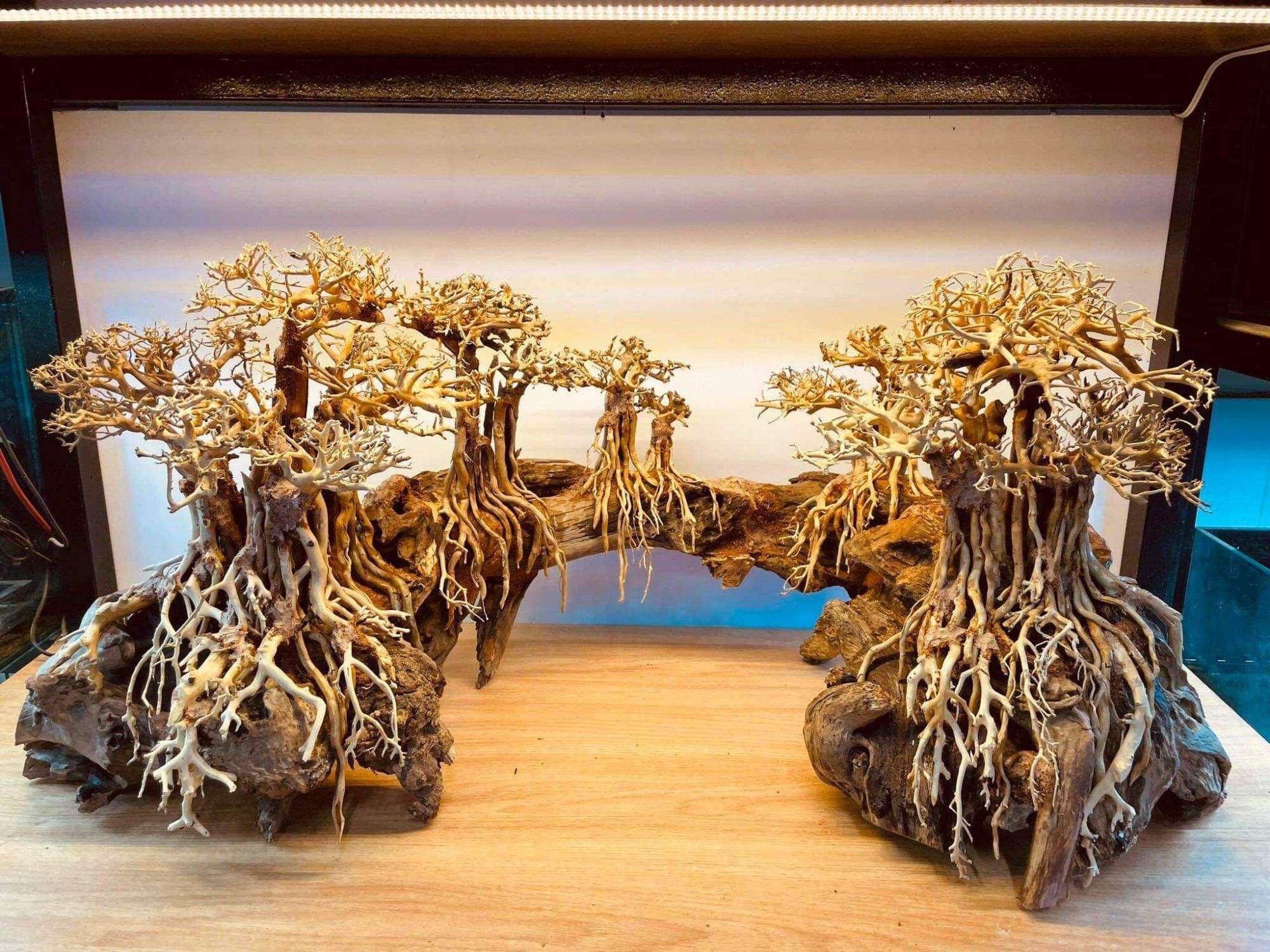 Bộ lũa bonsai cho hồ cá, hồ thủy sinh