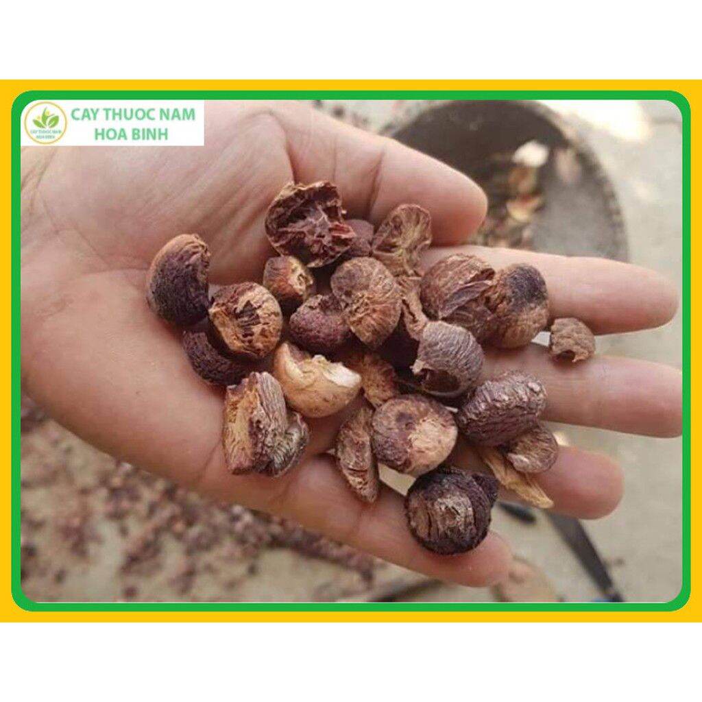 1kg hạt cau phơi khô