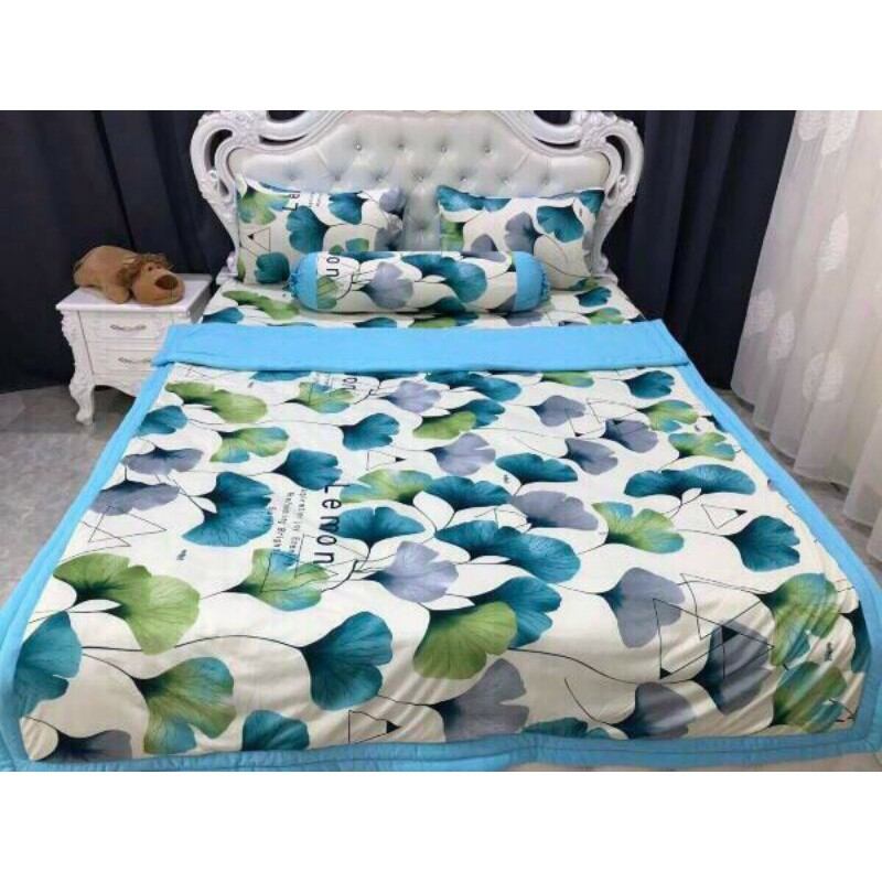 Bộ Drap thun lạnh In 3D Hàn Quốc [ Cao cấp] 4 món 1m6x2m