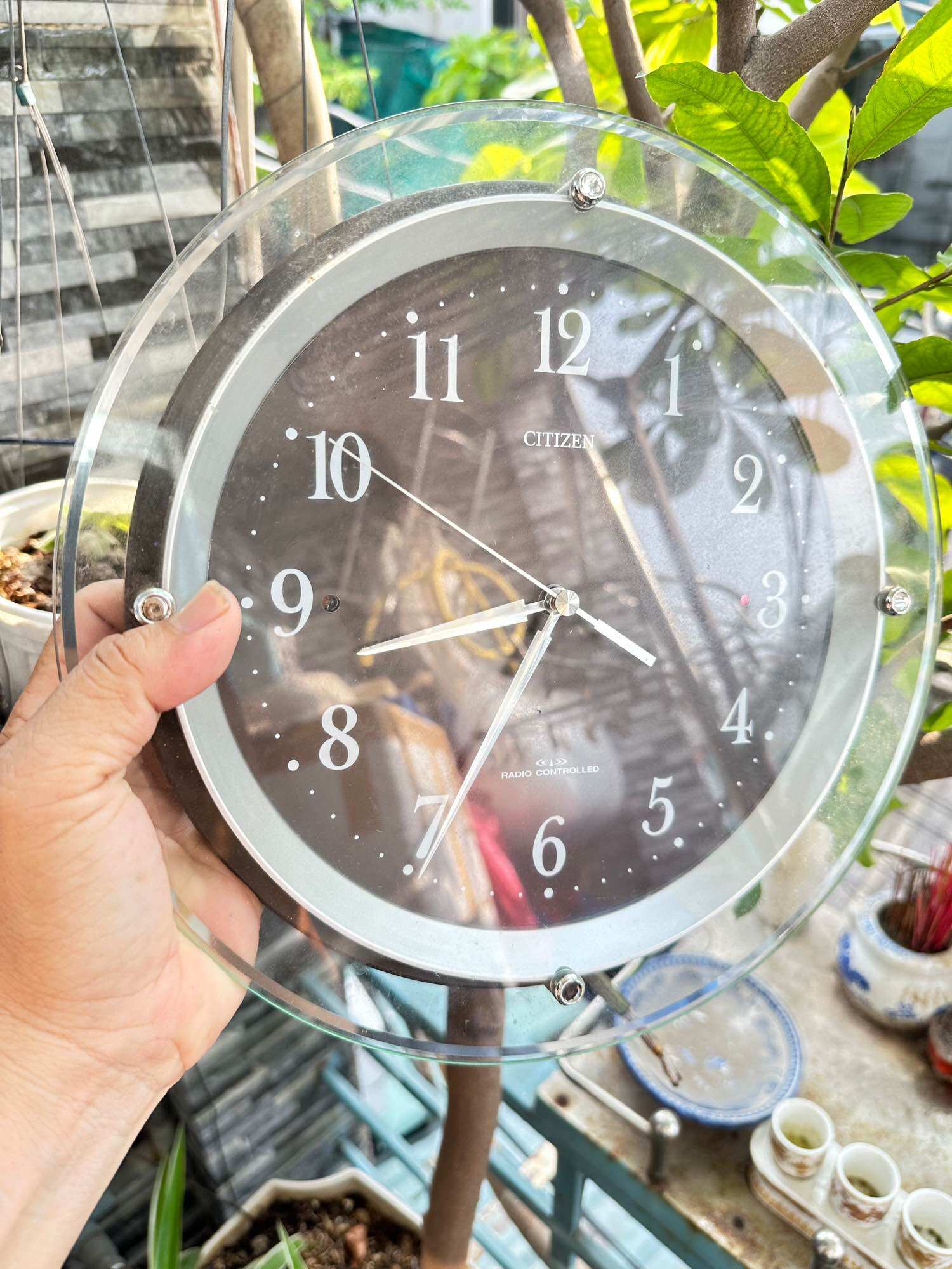 Đồng hồ treo tường citizen nội địa nhật