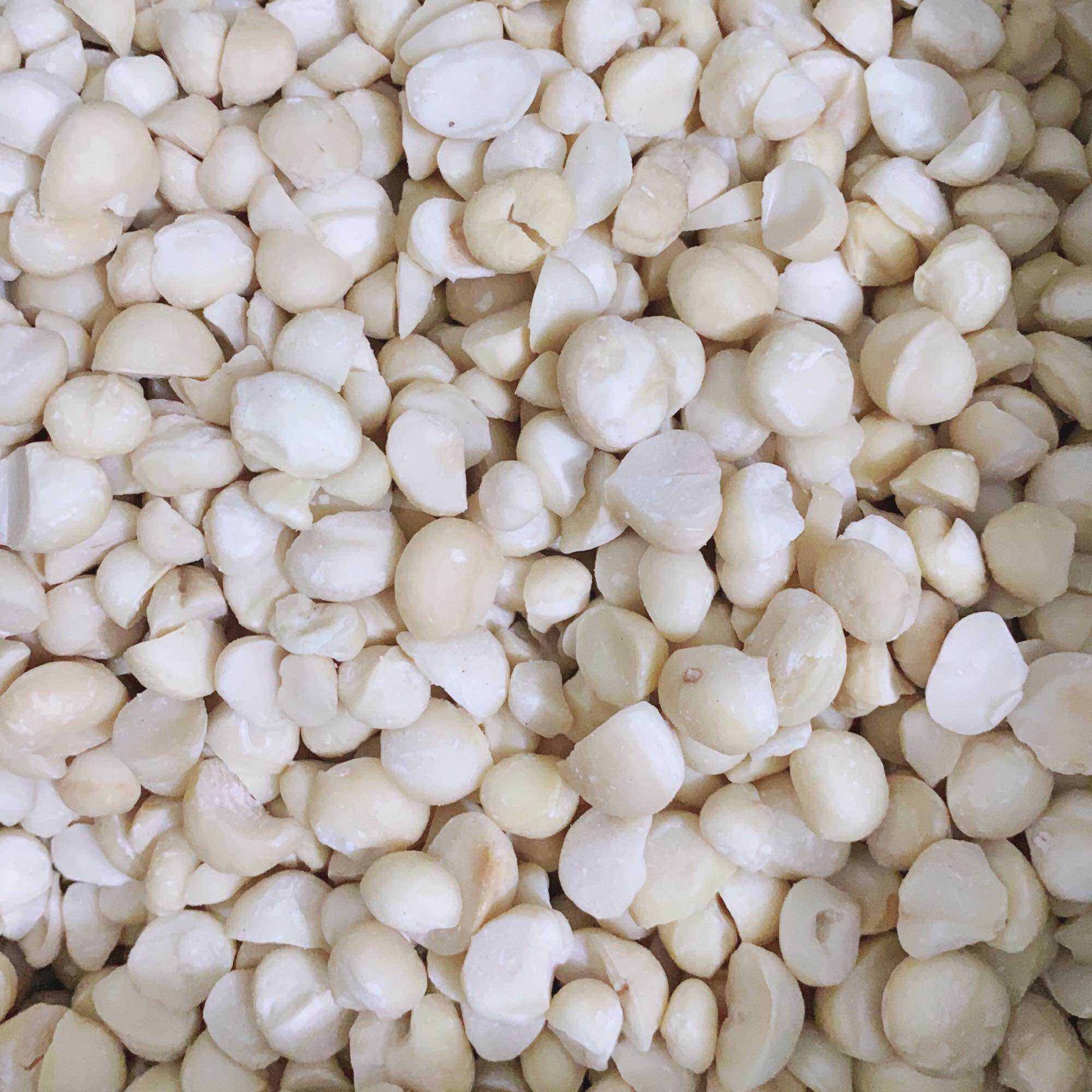 500G Nhân Macca bể Daklak thơm ngon