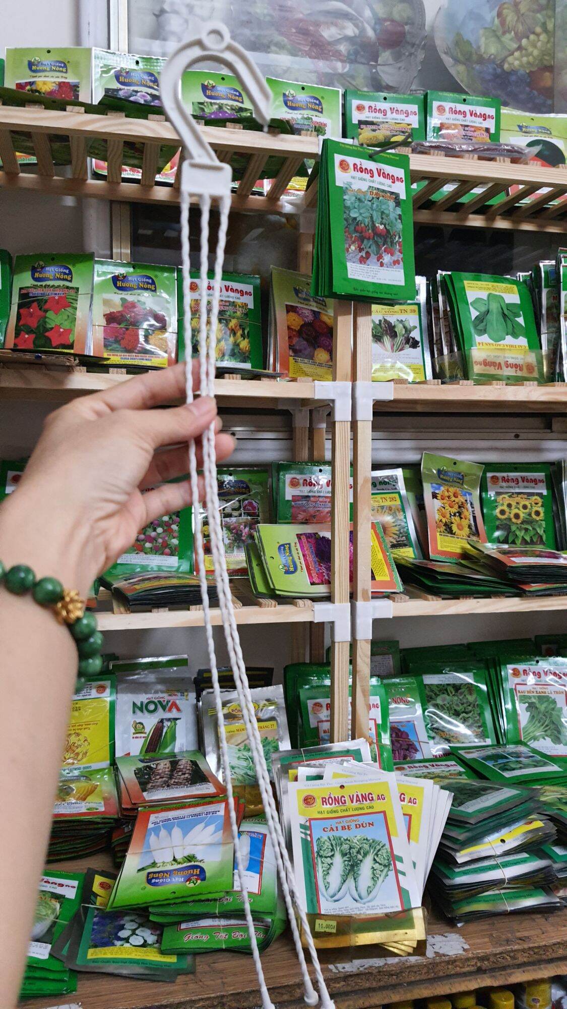 móc treo chậu nhựa