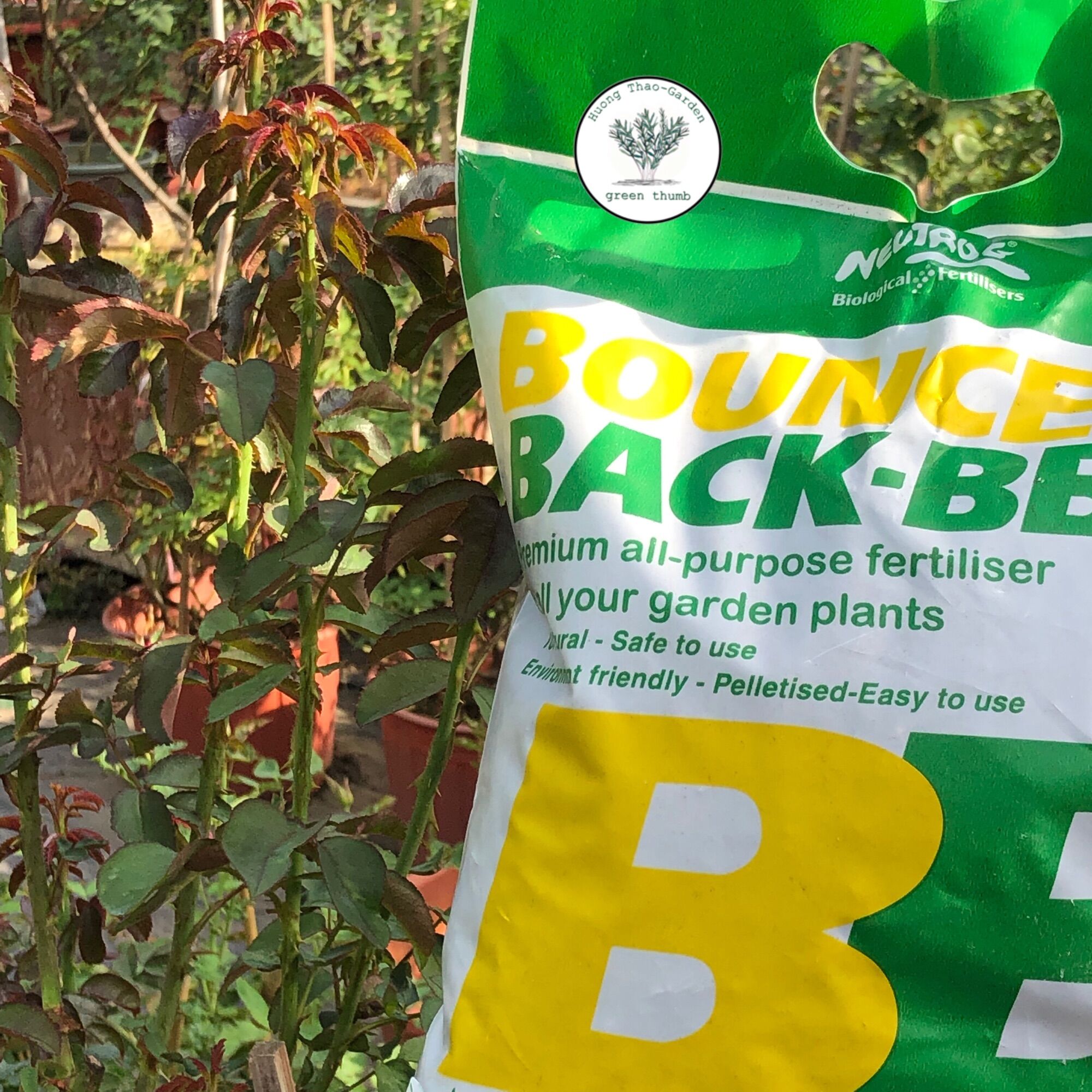 Túi 1kg Phân Hữu Cơ Đậm Đặc Úc - Bounce Back