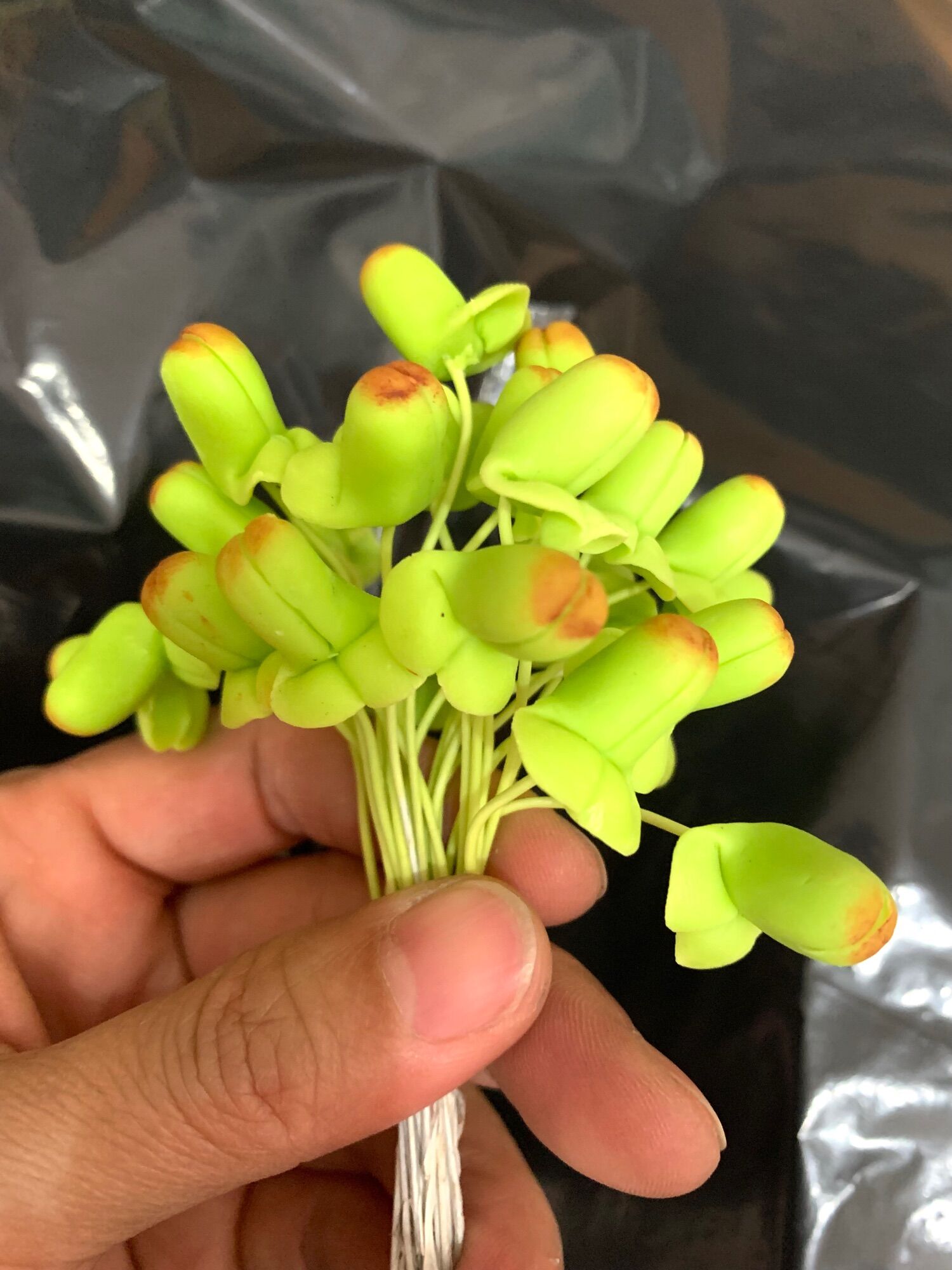Nụ hoa lan 1 bó 25 cái