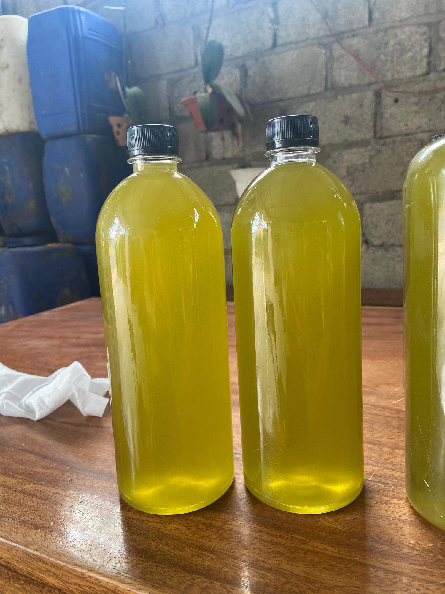 Mật ong Bạc Hà Nguyên Chất