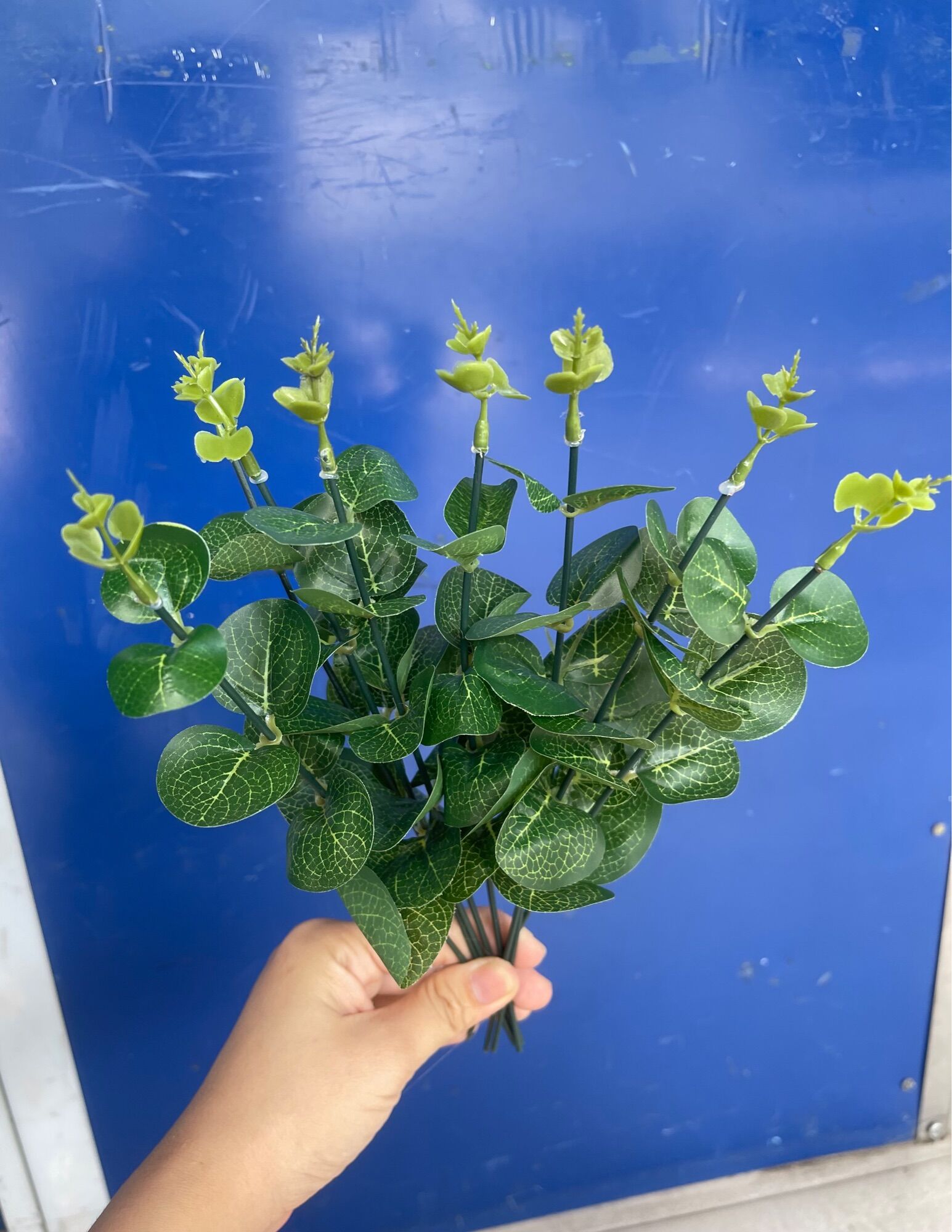 Lá táo rời tiện lợi 1 cành