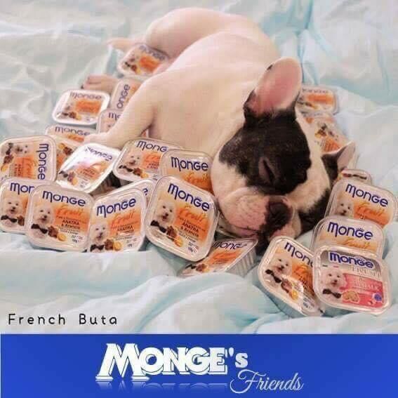 PATE MONGE 100gram MADE IN Ý