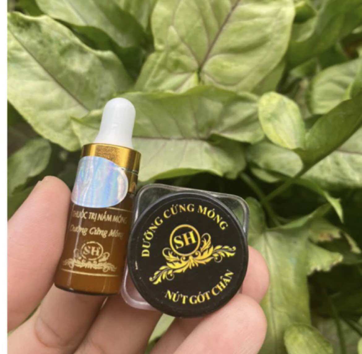 Combo (1 chai nấm+ 1 lọ dưỡng hiệu SH) đánh bay nấm móng+ phục hồi hư tổn ở móng