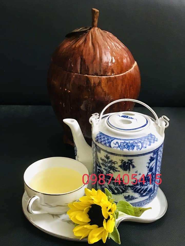 Bình ủ trà trái dừa