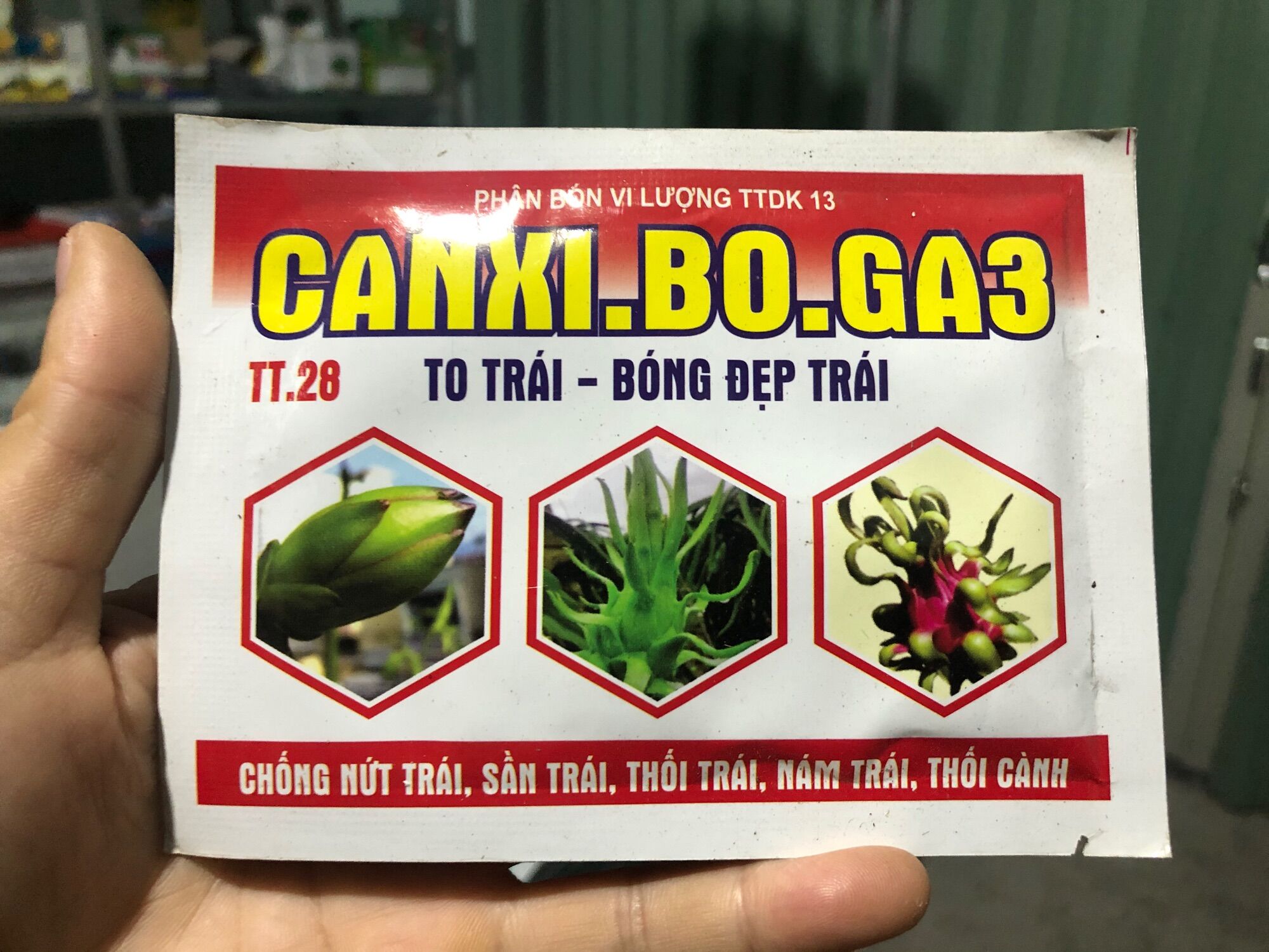 Canxi-bo ga3
