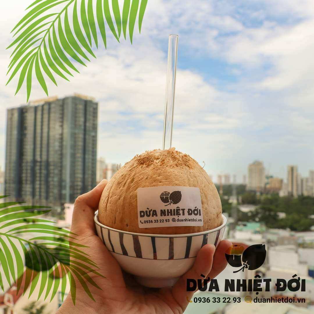 DỪA XIÊM GỌT TRỌC SIZE LỚN (400-500G) | DỪA XIÊM BẾN TRE